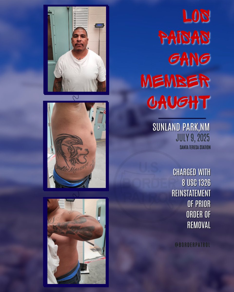 USBPChief's tweet image. PAISAS GANG MEMBER WITH LONG RAP SHEET ARRESTED
7/9 – Sunland, NM
USBP agents apprehended Octavio Chavez-Hernandez, a Mexican national and confirmed Paisas gang member, during an illegal entry attempt.
His criminal history includes:
▪️ Assault of a federal officer
▪️ Auto…