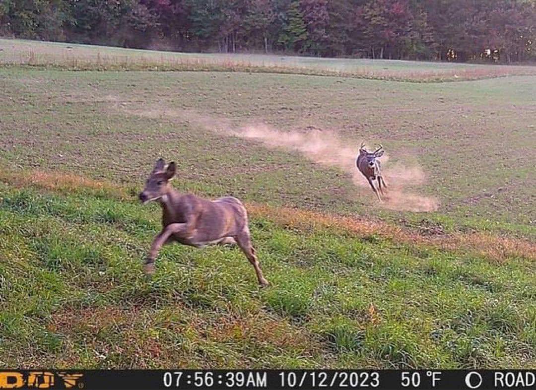 GalaxyZeinzVA tweet media