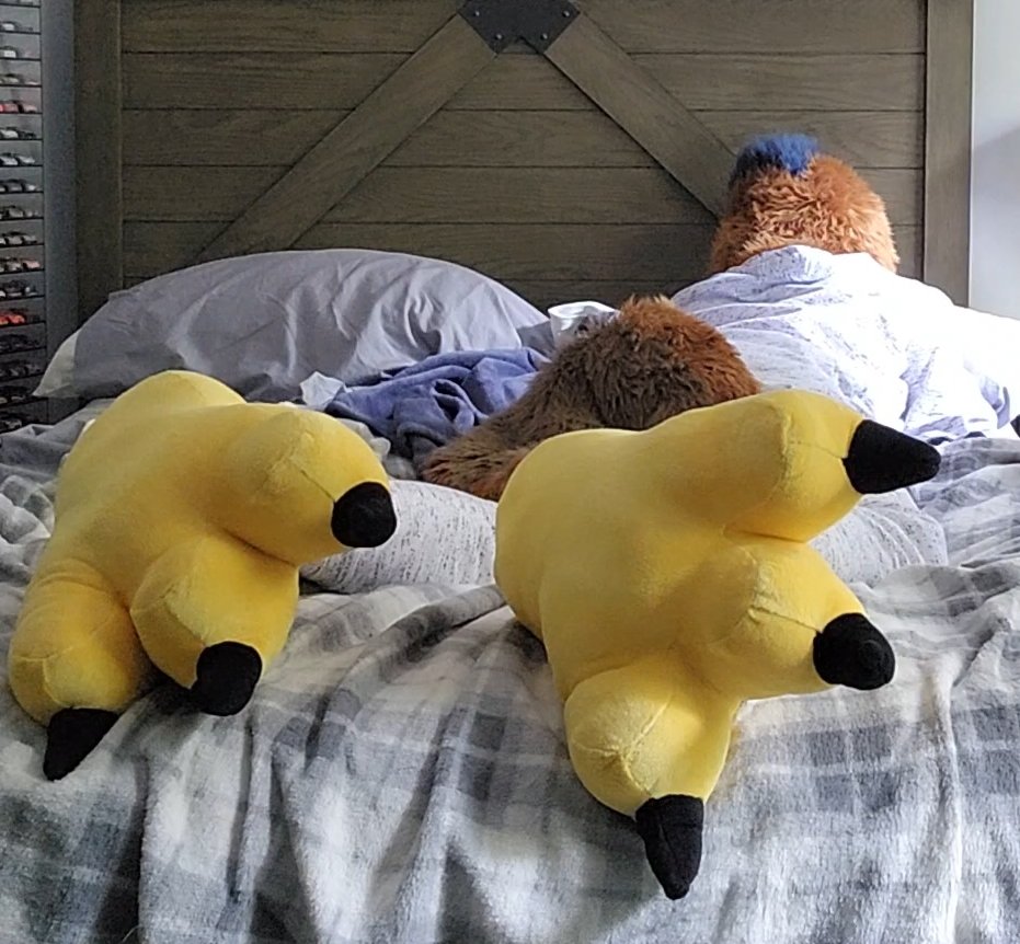 DonderHawk's tweet image. Is it a bad time to mention my feet are ticklish?
#TalonTuesday