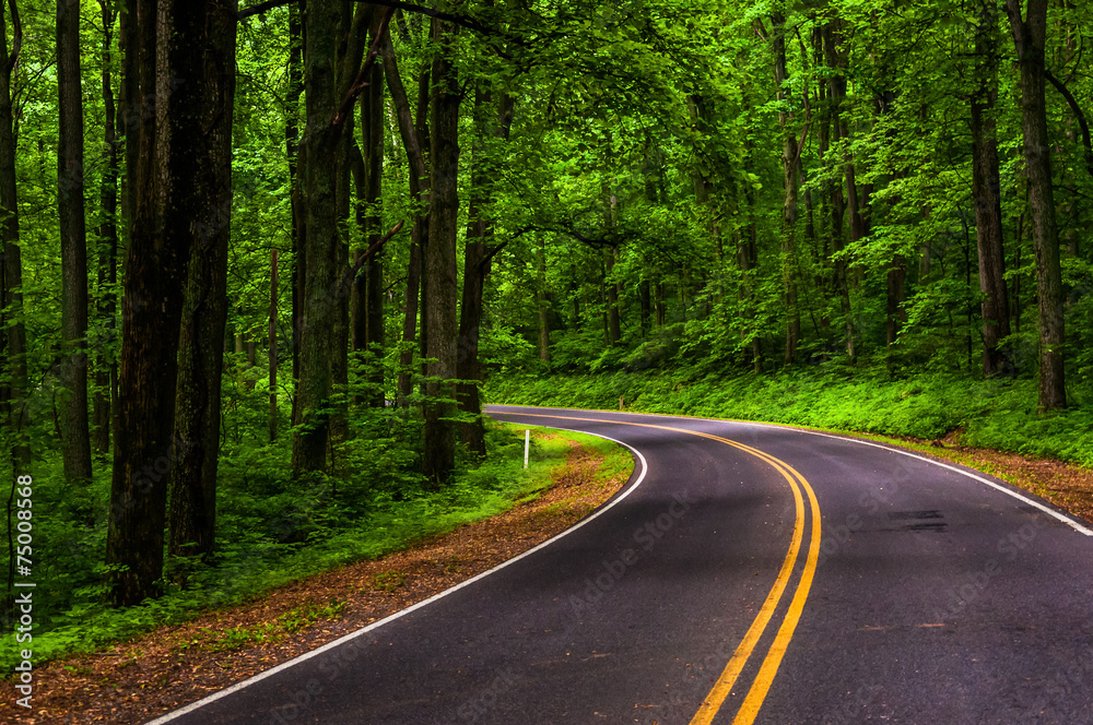VaDOTSalem's tweet image. Live in the sticks? Down in the holler? Around the old tree by the big curve down the mountain? No matter where you drive or what road takes you home, be focused, no distractions & safe speed. It's Rural Road Safety Awareness Week & in our district, that's the norm. #DriveSafe