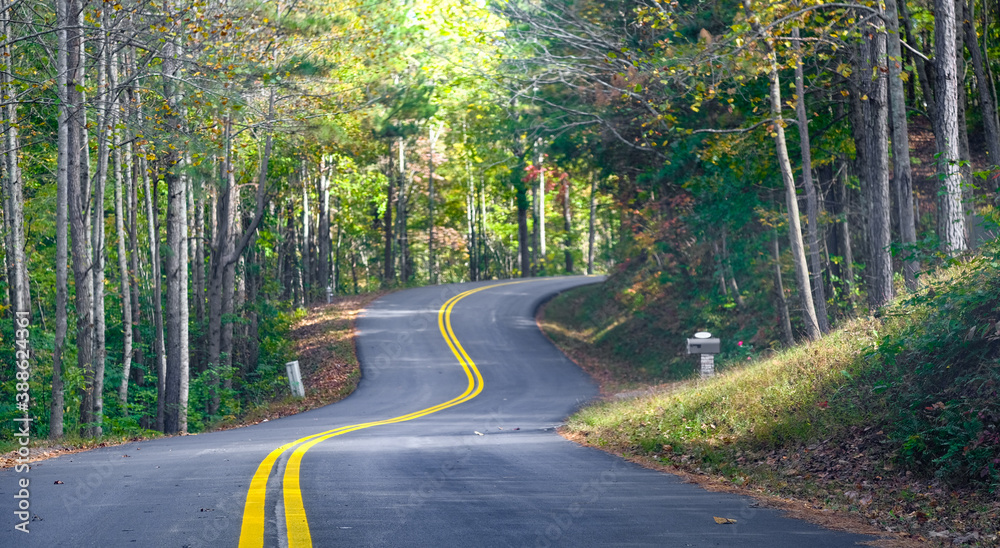VaDOTSalem's tweet image. Live in the sticks? Down in the holler? Around the old tree by the big curve down the mountain? No matter where you drive or what road takes you home, be focused, no distractions & safe speed. It's Rural Road Safety Awareness Week & in our district, that's the norm. #DriveSafe