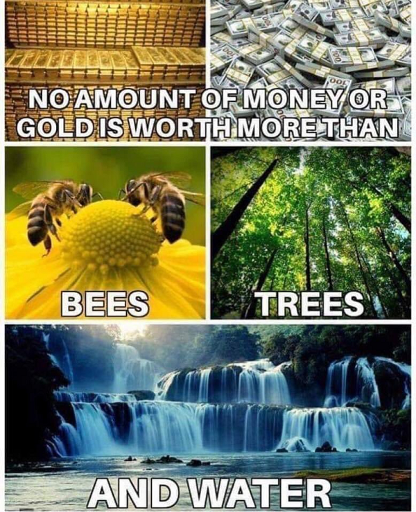 🇵🇸🏴‍☠️🌻TurboKitty🌻🏴‍☠️🇵🇸 tweet media