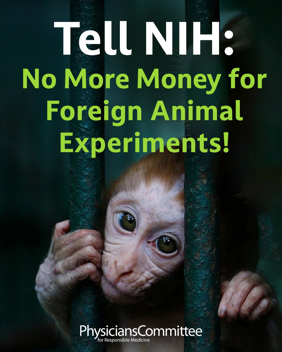 PCRM's tweet image. NIH has made strides toward human-relevant science—but the agency still sends billions of taxpayer dollars overseas to fund animal experiments with little oversight.
Let’s keep the momentum going. Tell @NIH and @NIHDirector_Jay to stop funding foreign animal experiments and…
