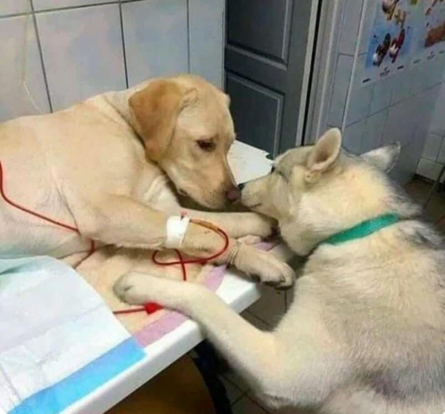 ،
خذ من سعادتي وراحتي
   خذ ما شئت 
خذ من عمري ومني
يكفي أن تكون بخير 
يكفي أن تكون سعيداً  ...👌
#طاب_مسائكم💐💐💐