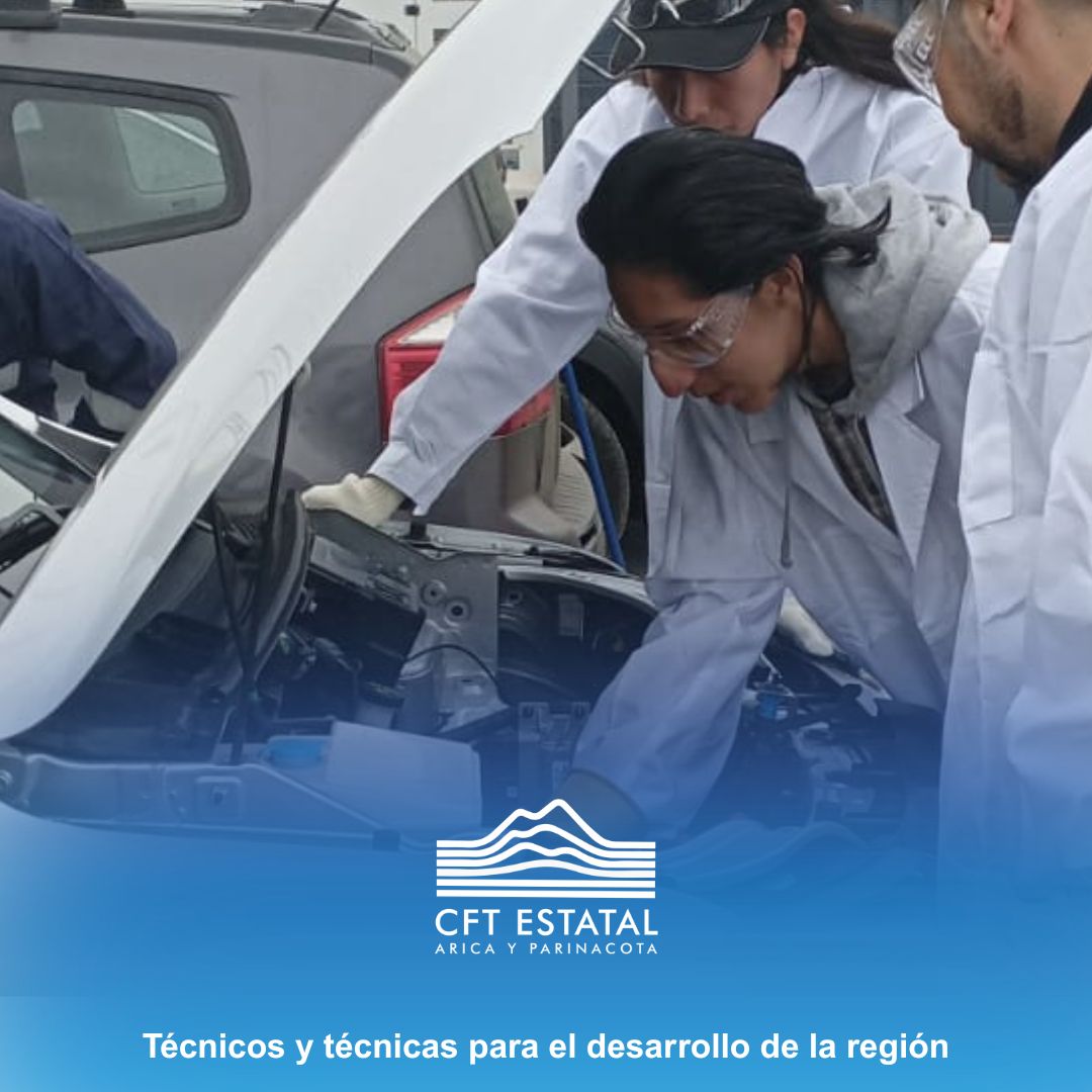 CFTEstatalAricayParinacota tweet media