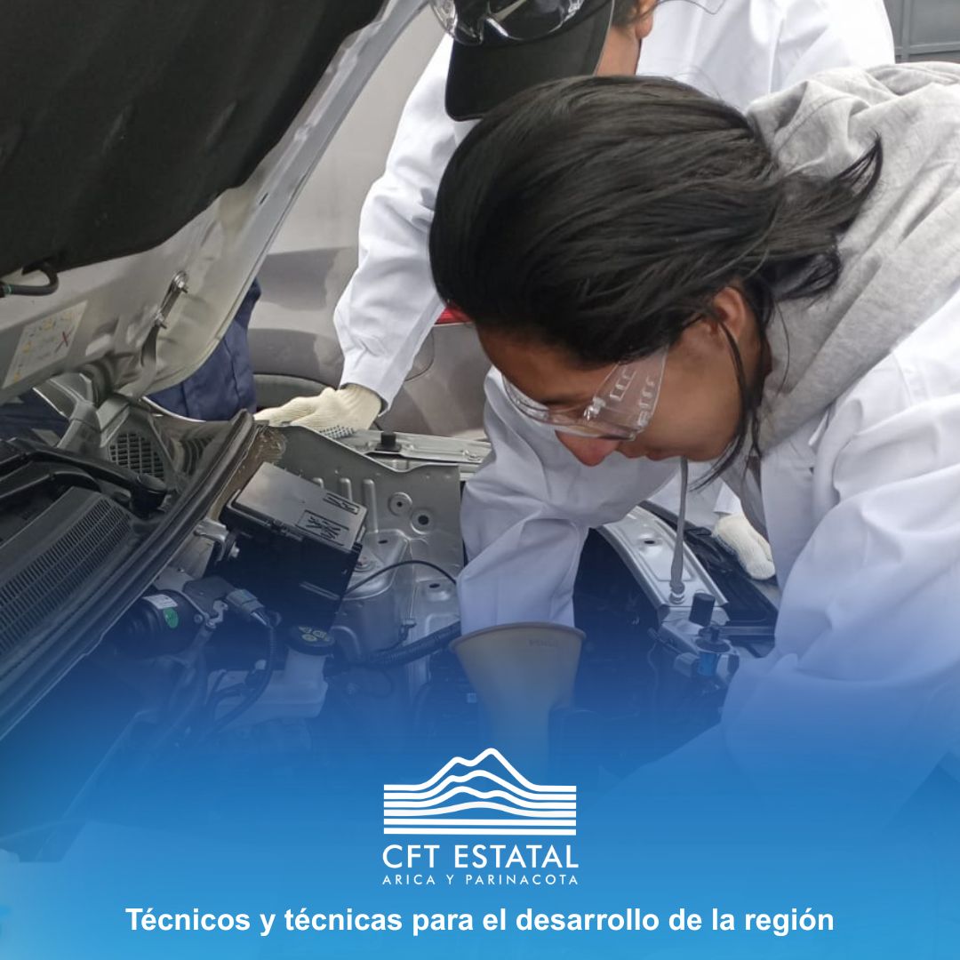 CFTEstatalAricayParinacota tweet media