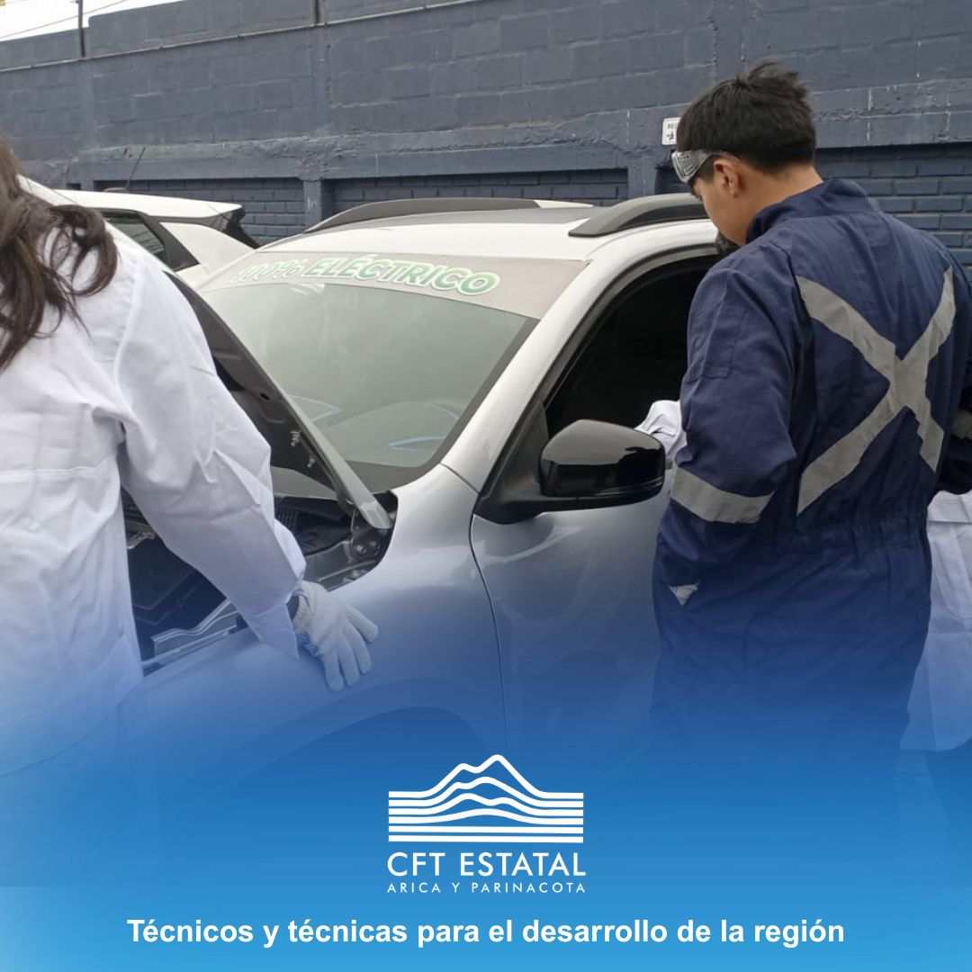 CFTEstatalAricayParinacota tweet media