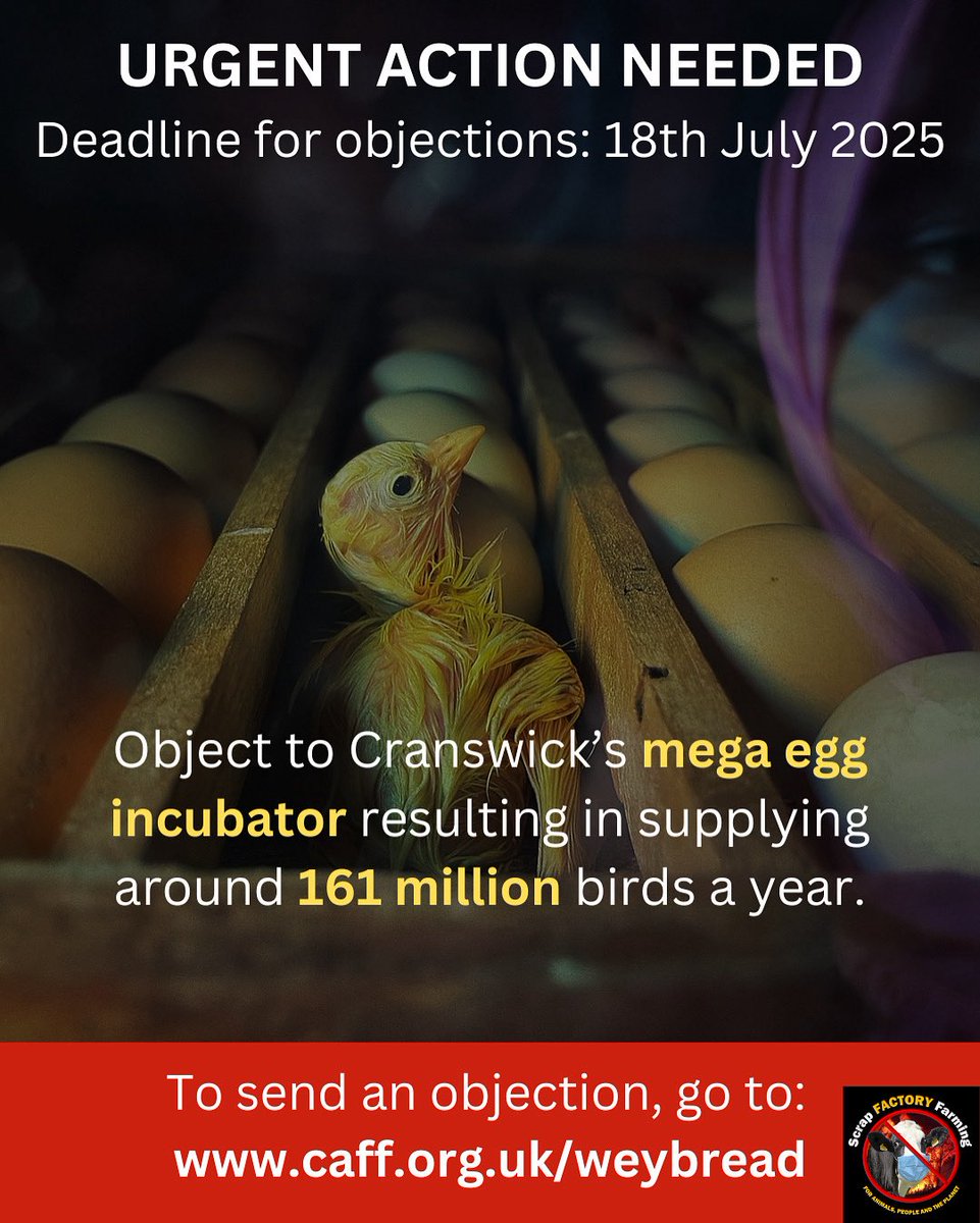 ScrapFactoryFarming tweet media