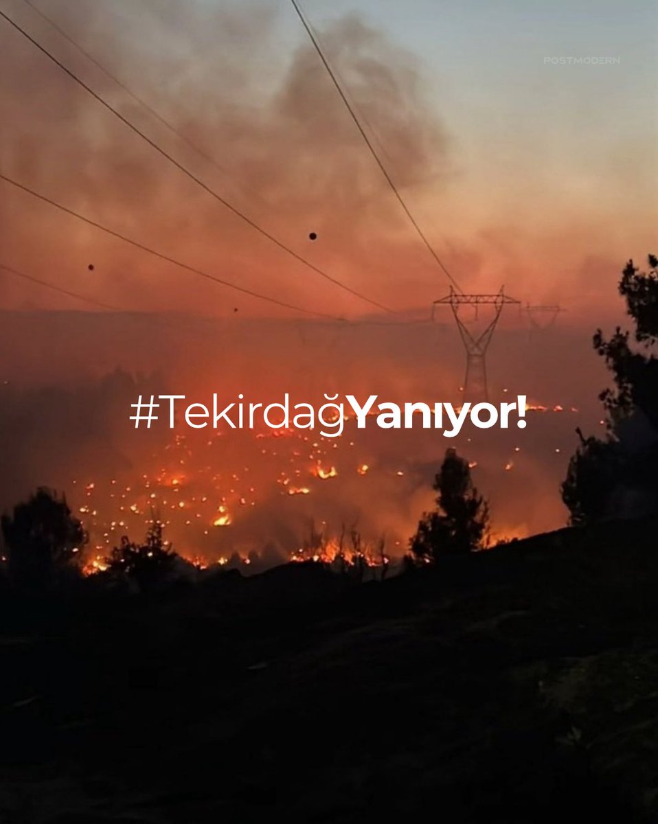 Durdurun şu yangınları artık 😡😡

#ŞarköyYanıyor 
#tekirdağyanıyor