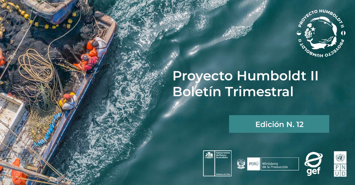 Proyecto Humboldt 2 (@phumboldt_2) on Twitter photo 🔊Nuevo Boletín informativo. Conoce nuestras últimas actividades en pesquerías sostenibles, investigación científica, conservación de áreas marinas protegidas, promoción del turismo, género y más. 🌊
Lee aquí:🔗bit.ly/3THoTSn
<a href="/MINPRODUCCION/">Ministerio de la Producción</a> <a href="/SubpescaCL/">Subpesca 🐟🇨🇱</a> <a href="/PNUDChile/">PNUD Chile</a> 🔊Nuevo Boletín informativo. Conoce nuestras últimas actividades en pesquerías sostenibles, investigación científica, conservación de áreas marinas protegidas, promoción del turismo, género y más. 🌊
Lee aquí:🔗bit.ly/3THoTSn
<a href="/MINPRODUCCION/">Ministerio de la Producción</a> <a href="/SubpescaCL/">Subpesca 🐟🇨🇱</a> <a href="/PNUDChile/">PNUD Chile</a>