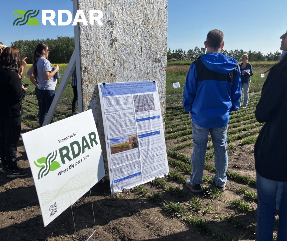 RDARAlberta's tweet image. RDAR has joined the PRFSA Summer Tour with SARDA and Peace Region Forage Seed Association. 

RDAR is proud to support this work through multiple investments, including SARDA base funding and capacity co-funding for Calvin Yoder.
#FieldDays #AgInnovation