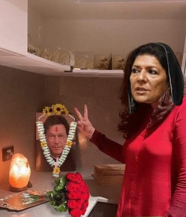 ہم دربار بنانے نکلے ہیں آو ہمارے ساتھ چلو 😜