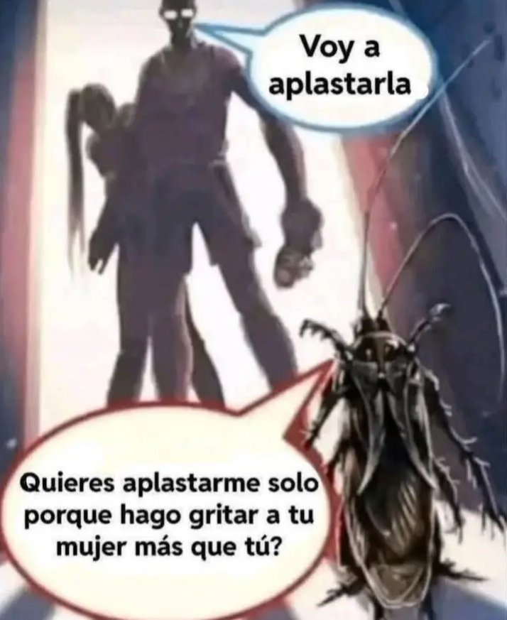 SaySay309's tweet photo. Solo tienes la valentía de matarlas cuando son de las que no pueden volar https://t.co/LnxujHc1wo