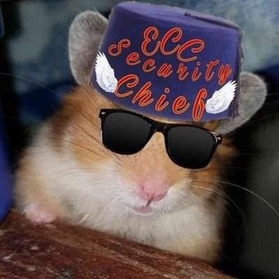 Obe_QT_Luke's tweet image. Alright Team, one last round of perimeter/interior checks, report back with your findings, put your pics up, stand down and go have fun! Git now! Thats an ORDER! 😎🐹🐾🫡 #Eccsecurity #ECCHappyHour @badhenry070119 @bar25910920 @MatthewSummors @badhenry070119 @ToursMum