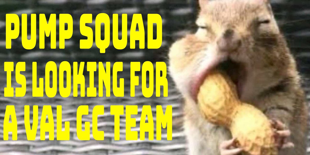 Pump Squad tweet media