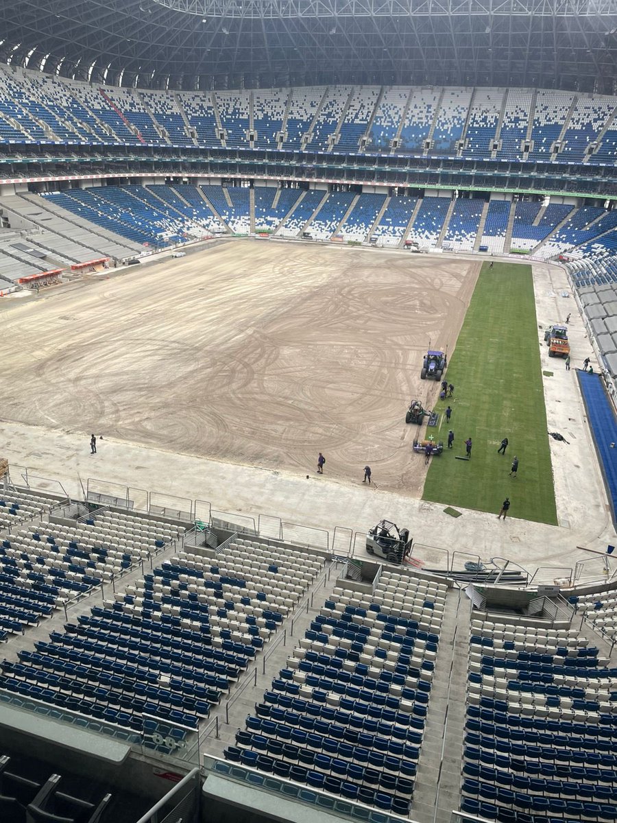 Ahora si perros, sin gallina y con pasto nuevo 💁🏻‍♂️