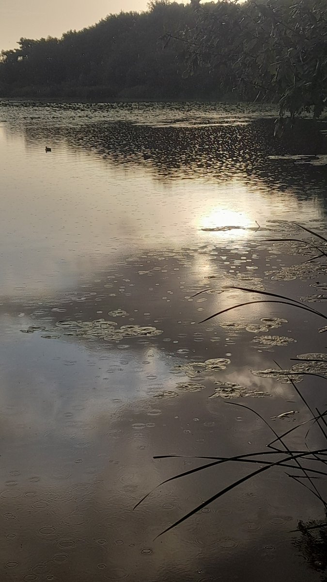 When It Rains <a href="/foxxmetamedia/">Metamatic Records</a>