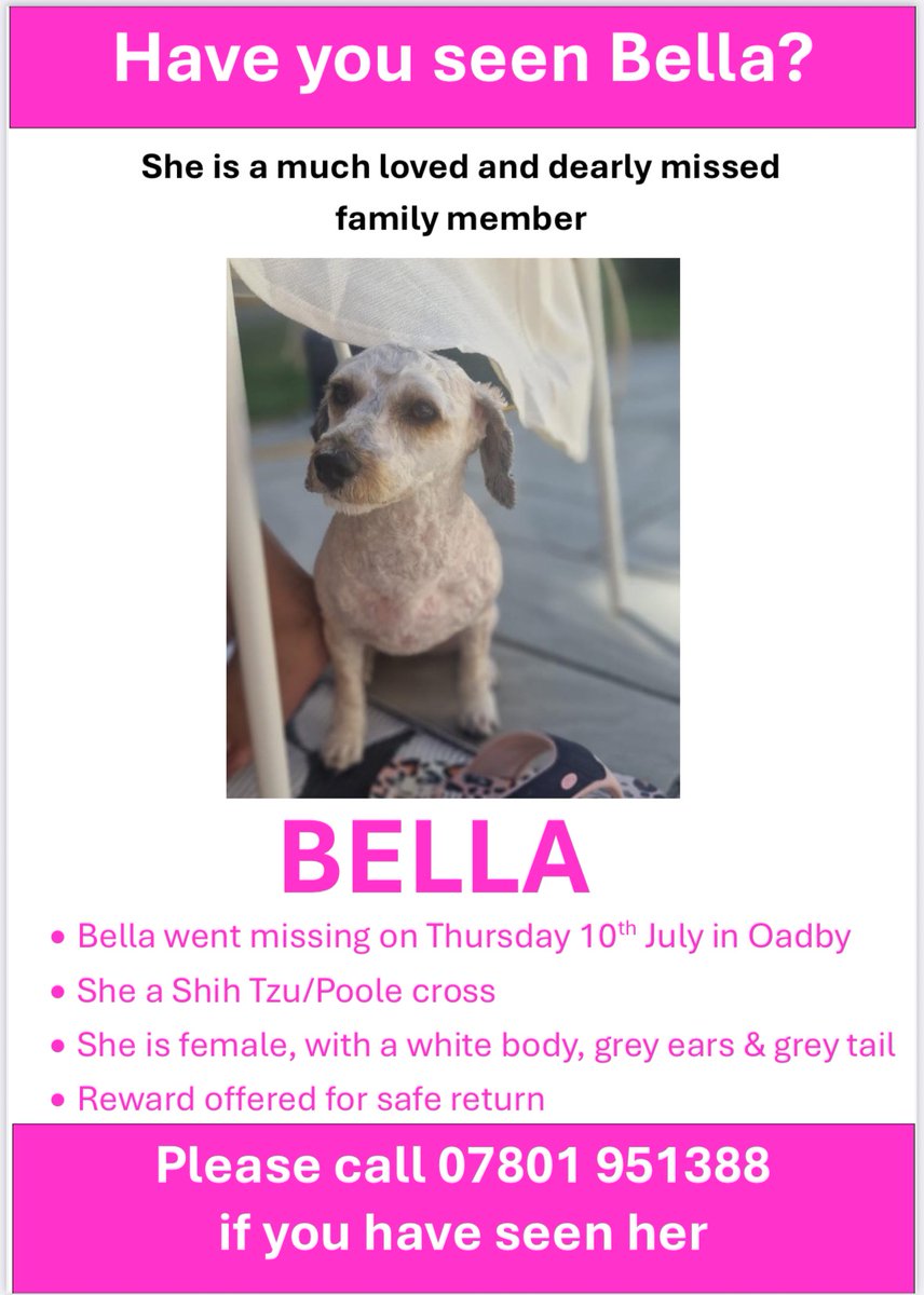 Bella went #missing on Thursday 10th July. She escaped from the garden in #Oadby #Leicestershire #LE2 area. She did not have a collar on as she was in the garden. She is 3 years old, white body, grey tail and ears, she is very friendly. She is microchipped and all details are up