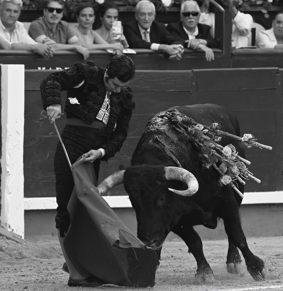 "Porque cuando las muñecas torean,el cuerpo se gusta y se deja llevar."

✍️ Paco Aguado.

📖 Por qué Morante 
(Antes y ahora)