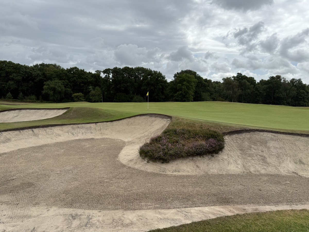 Jonathan Earl tweet media