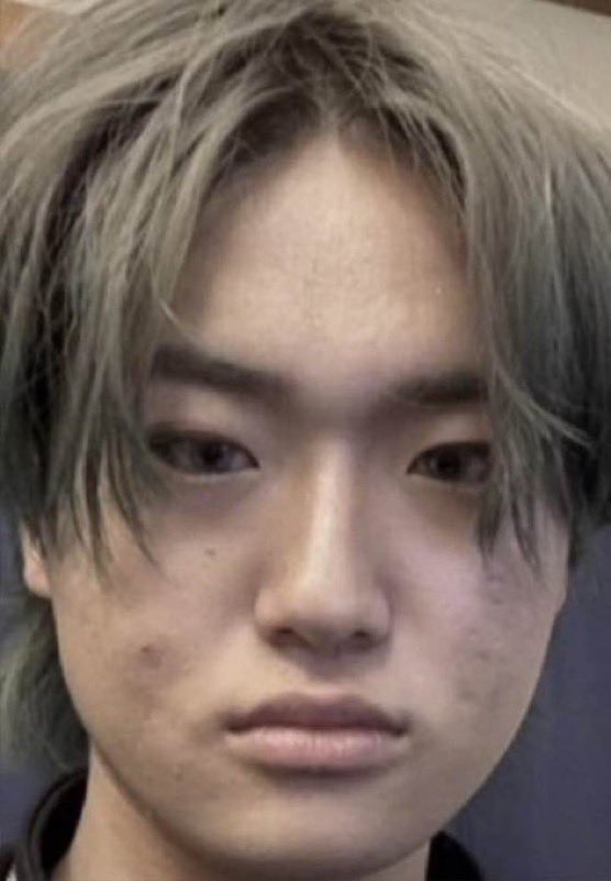 deathnote_ebisu's tweet image. 【緑刃 標識シリーズ】
｢緑刃君、この標識が何が分かるかい？｣  

...  

...和式便器破壊工作員