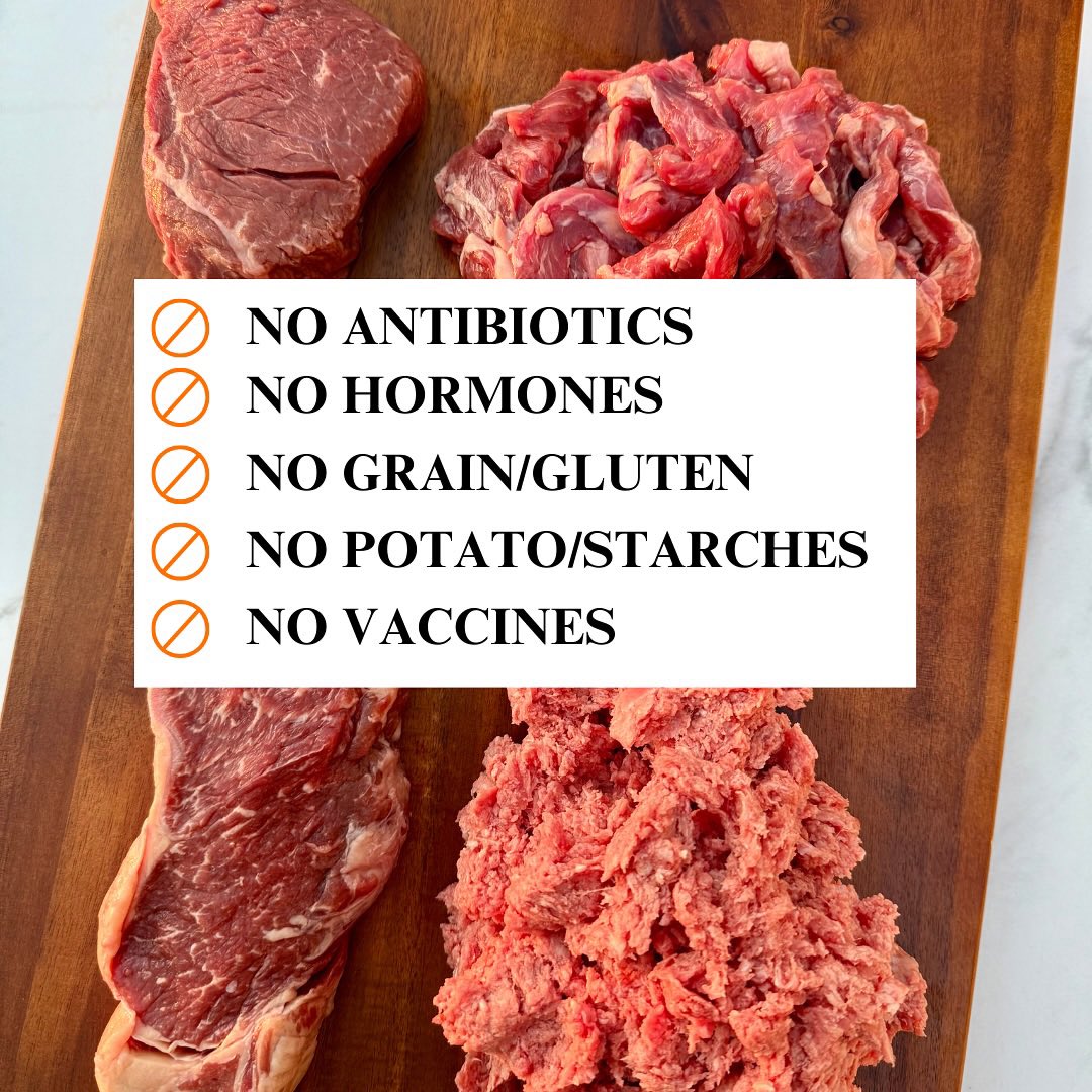 YOU are the reason we work to produce a healthier, cleaner kind of beef. Some of you enjoy it for the flavor, others for the grain-free finish, our ranching practices, or for personal health reasons. Whatever brings you to Santa Carota, we’re honored to be part of your plate.
