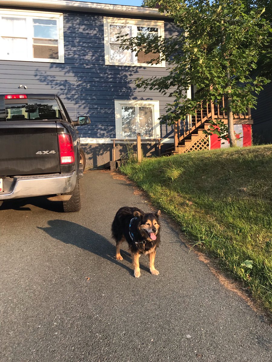 Oh Canada 🇨🇦 I #TOT on guard 🐿🐿🐿 fur thee