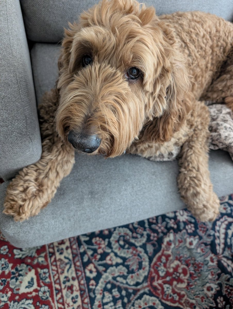 Tucker Waffles tweet media