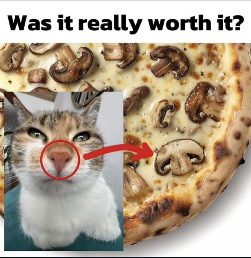 memechaotic's tweet photo. https://t.co/wvicJi5Ugf