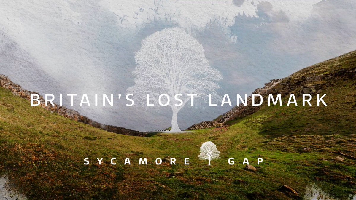 ChrisConway's tweet image. Want to know why two men felled the tree at #sycamoregap?

My brilliant colleague @tombarton tells the story of how a much loved tree was chopped down in the dead of night, and investigates why two men did it. 

It’s on 📺 tonight! 22:45, ITV1 🌳🎥
Produced by @JoshSteadITV