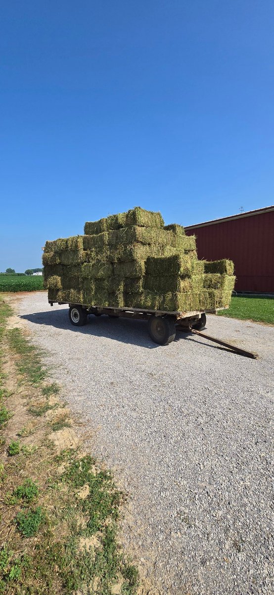 Hot day on the farm. 🔥 🚜