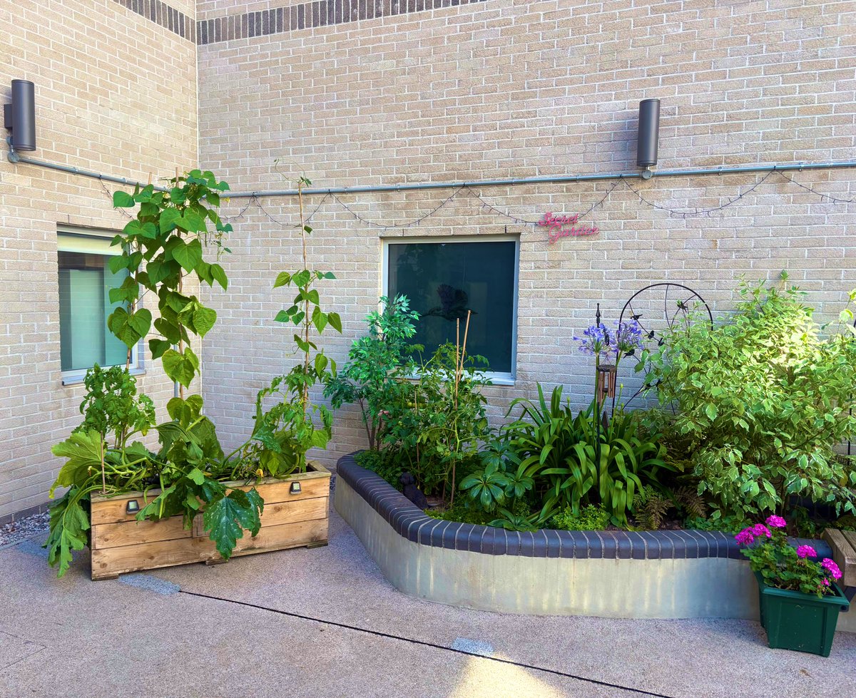 Kate Tantam (She/her) (@tantamkate) on Twitter photo The #SecretGarden <a href="/UHP_NHS/">University Hospitals Plymouth NHS Trust</a> has had the privilege of some TLC this week from a fantastic group of volunteers from <a href="/Babcockplc/">Babcock International</a>
The veg patch was manicured beautifully!
What a difference and a huge thanks to the whole team 💪❤️
Watch this space for our upcoming homegrown veg! The #SecretGarden <a href="/UHP_NHS/">University Hospitals Plymouth NHS Trust</a> has had the privilege of some TLC this week from a fantastic group of volunteers from <a href="/Babcockplc/">Babcock International</a>
The veg patch was manicured beautifully!
What a difference and a huge thanks to the whole team 💪❤️
Watch this space for our upcoming homegrown veg!