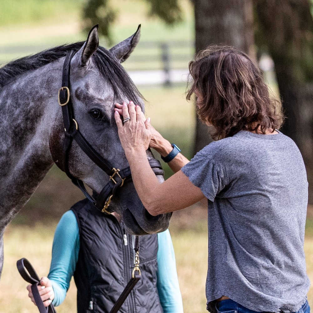KYDownsRacing's tweet image. Happy National I Love Horses Day! We consider ourselves very lucky to be around so many incredible equine athletes each year.
Let us know the name of your favorite horse that you've seen race at #KyDowns! 👇