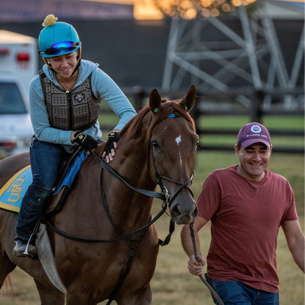KYDownsRacing's tweet image. Happy National I Love Horses Day! We consider ourselves very lucky to be around so many incredible equine athletes each year.
Let us know the name of your favorite horse that you've seen race at #KyDowns! 👇