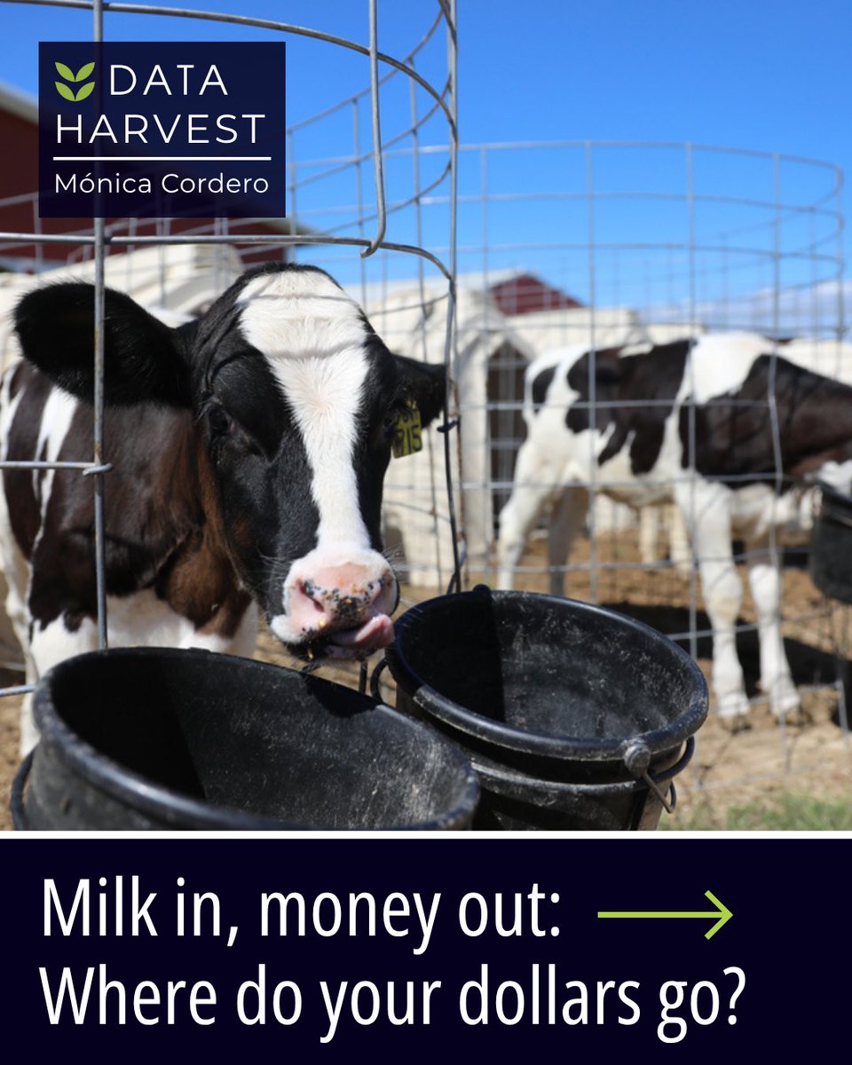 IMidwest's tweet image. Dairy farmers made just 19% of what you paid for ice cream in 2024. For butter? 57%.
Same milk, different process. Very different payouts.
Click here to view the latest Data Harvest: investigatemidwest.org/2025/07/15/who…
#FoodSystem #Farming #FarmToTable #DairyDollars