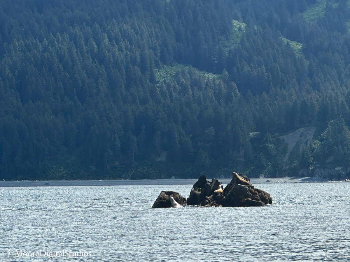 Did someone say Rock?

Happy #RockinTuesday, hope it is a rockin good one! 🤘🏼🪨🤘🏼