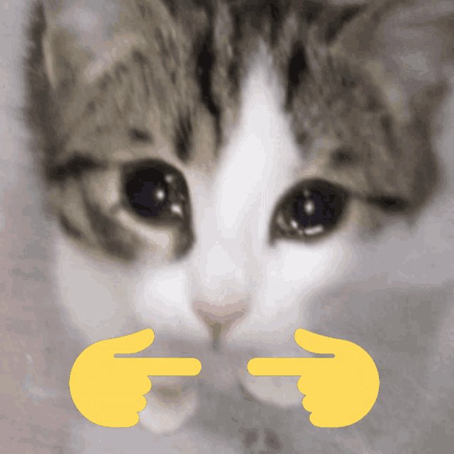 Phobos1986's tweet photo. @rose_everburn Valeria seeing this drawing https://t.co/4TbGTgzjjR