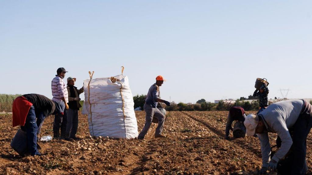 Lejos del circo xenófobo que han montado hoy algunos en Torre Pacheco, nada cambia entre los campos de melones.

Mañana, se esperan 35° en el campo de Cartagena, esto son más de 50  a pleno sol. Otro día más (como otro cualquiera) de trabajo
