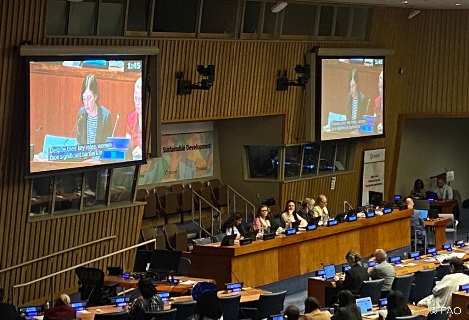 FAO in New York tweet media