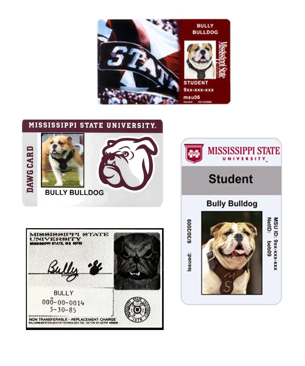 MSStateAlumni's tweet image. Did your MSU ID card look like one of these? 🪪
