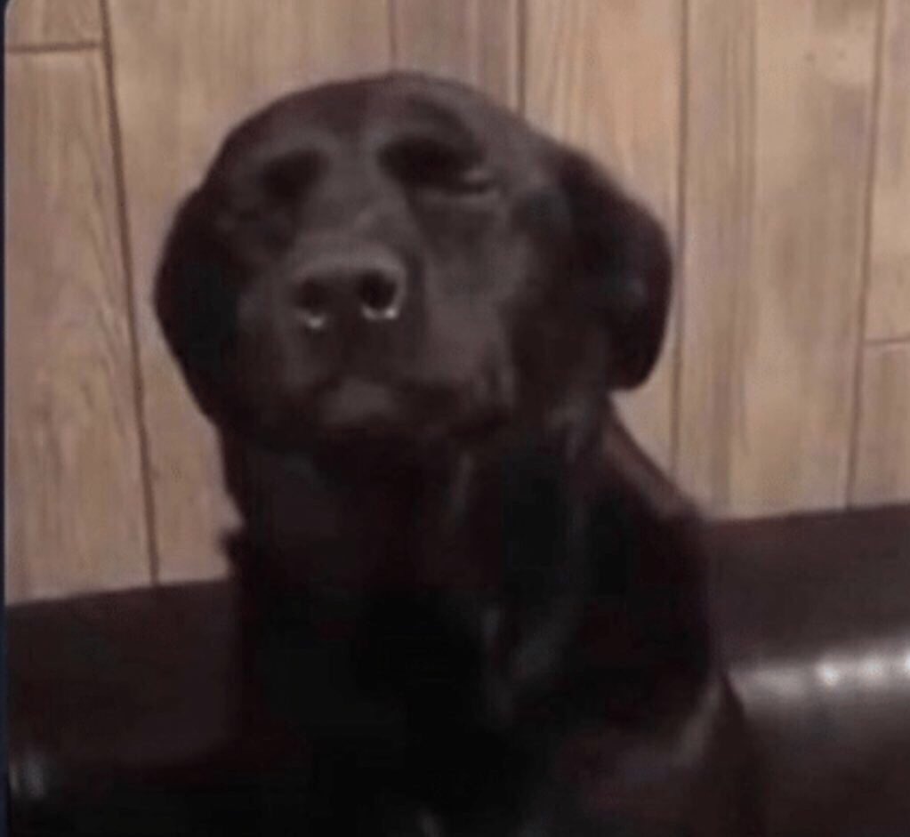 REALJackTheBus's tweet image. went to the eye doctor today and found out my vision got way worse and somehow I also now have astigmatism after 26 years of life
am I absolutely cooked