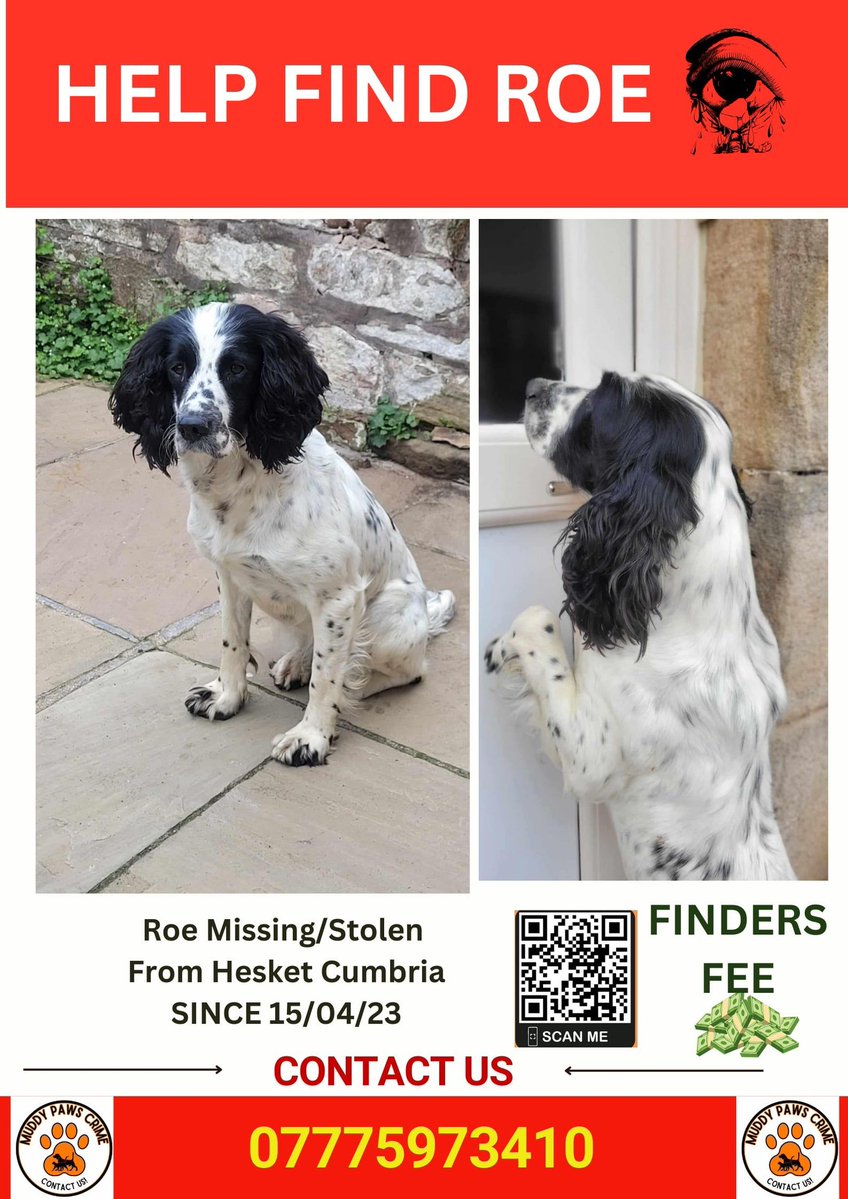 muddypawscrime's tweet image. No news has come forward about beautiful Roe for over 2 years :(
Please keep sharing/resharing for her in the hope just one share reaches eyes of information
@MissingPetsGB @rosieDoc2 @HunnyJax