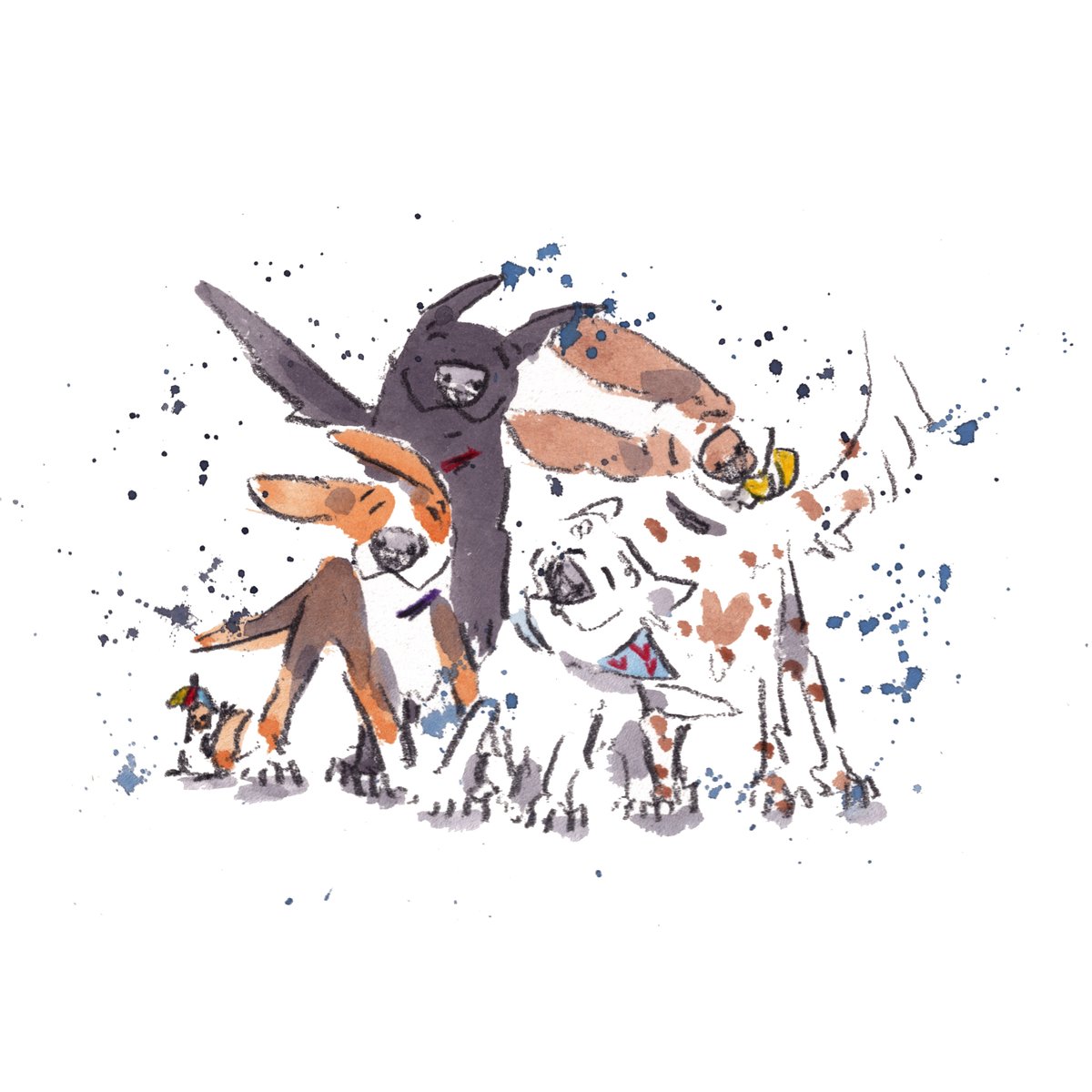 Good night, lovely people and lovely dogs.
We had lovely, rainy walks today.
Sleep well and sweet dreams.
I hope that you have a really wonderful day tomorrow. 
#hoorayfordogs #beagle #labrador #westie #springer #redsquirrel
