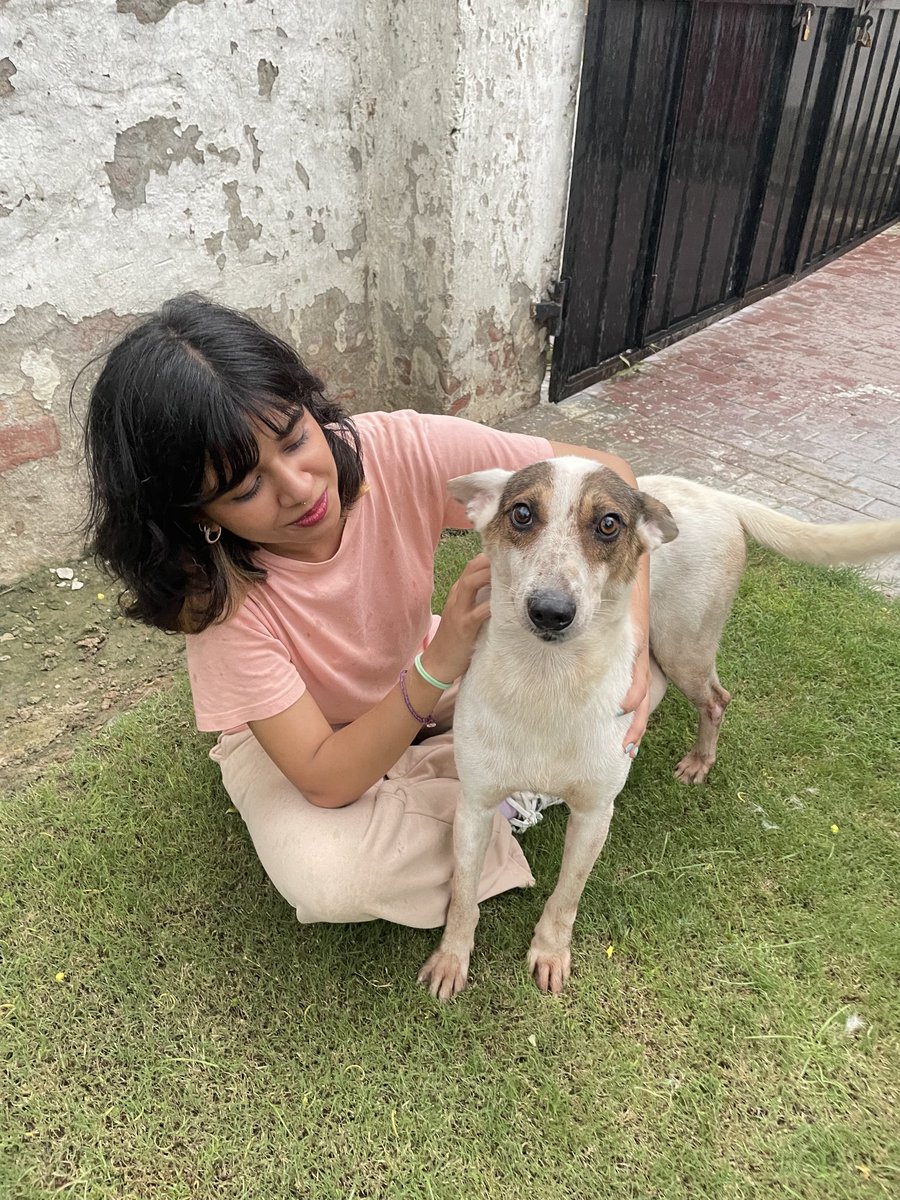 Going to wish you all goodnight, leaving you tonight with our brave boy Courage 💖. Stay safe everyone and let's meet up tomorrow 💕