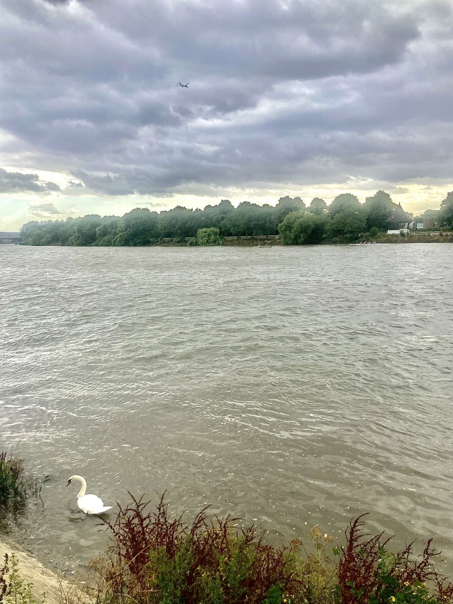 Plane coming in over the Thames earlier