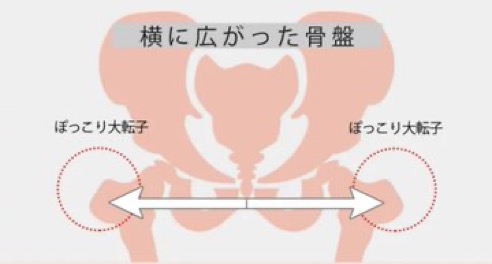 史上最強のガードル見つけた。履くだけで『お腹』『お尻』キュッ‼︎しかも反り腰改善まで出来るとか天才かよ。友達から脂肪吸引疑われるレベルに変われるから、怠惰な女達は絶対に買え！
