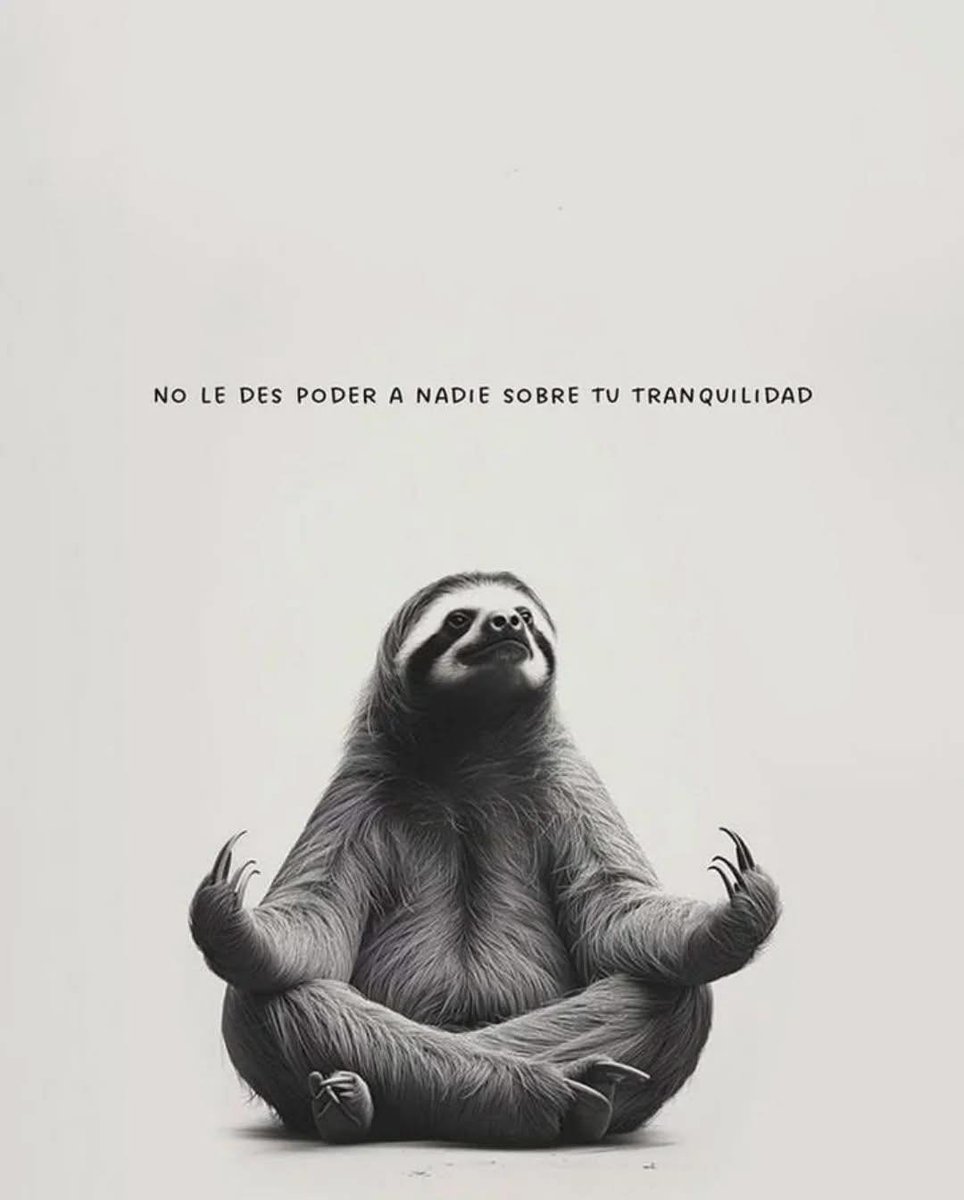 BANDIDOS (@bandidosfrasess) on Twitter photo 