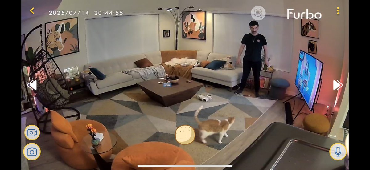 DrumsyOfficial's tweet image. We have a pet camera and sometimes I stand like this for 10 minutes hoping to jumpscare my girlfriend when she checks on the pets