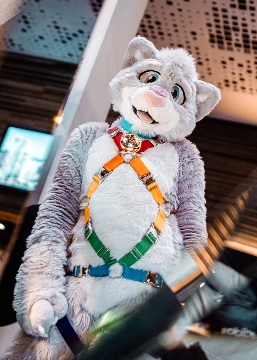 Shining like we always do! 😋

📸 <a href="/Nico_deer/">Nico 🔜 GLC</a> 🦌❤️