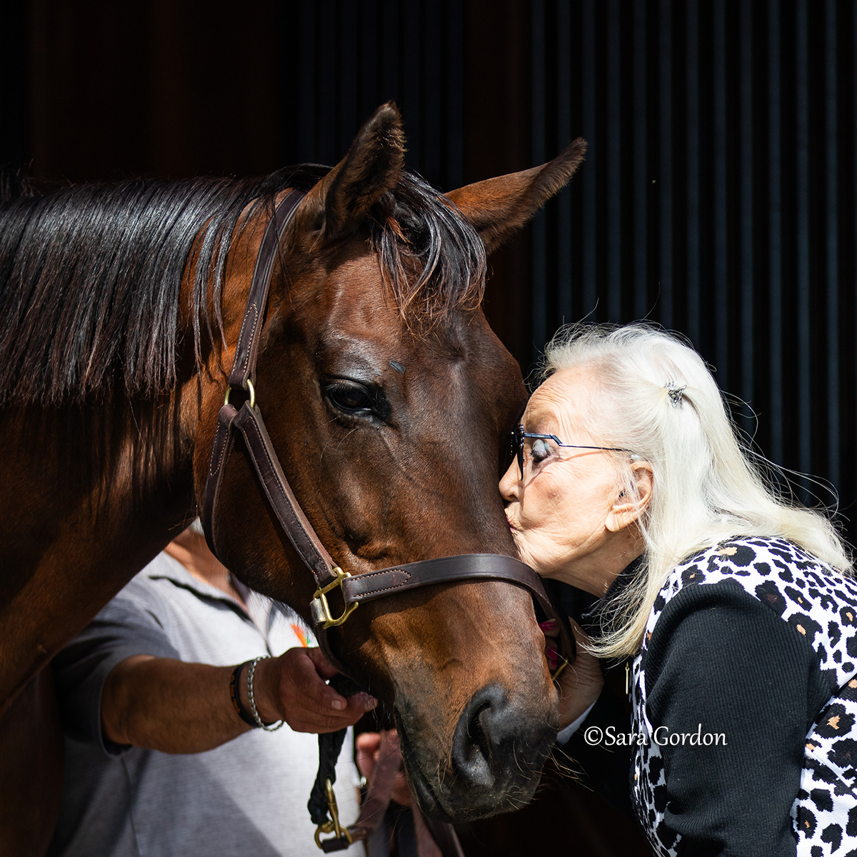 My sincere condolences to the team at <a href="/hsdonalberto/">Haras Don Alberto</a> on the loss of their spectacular mare, Mopotism.

It was announced today that the brilliant racemare, proudly the dam of GI Preakness winner Journalism, has died from complications of colic.

What an honor it was to meet her ❤️